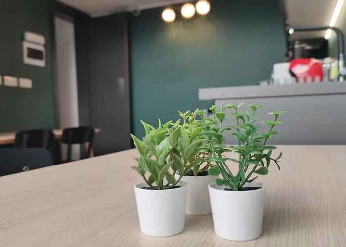 Three Cities 게스트하우스